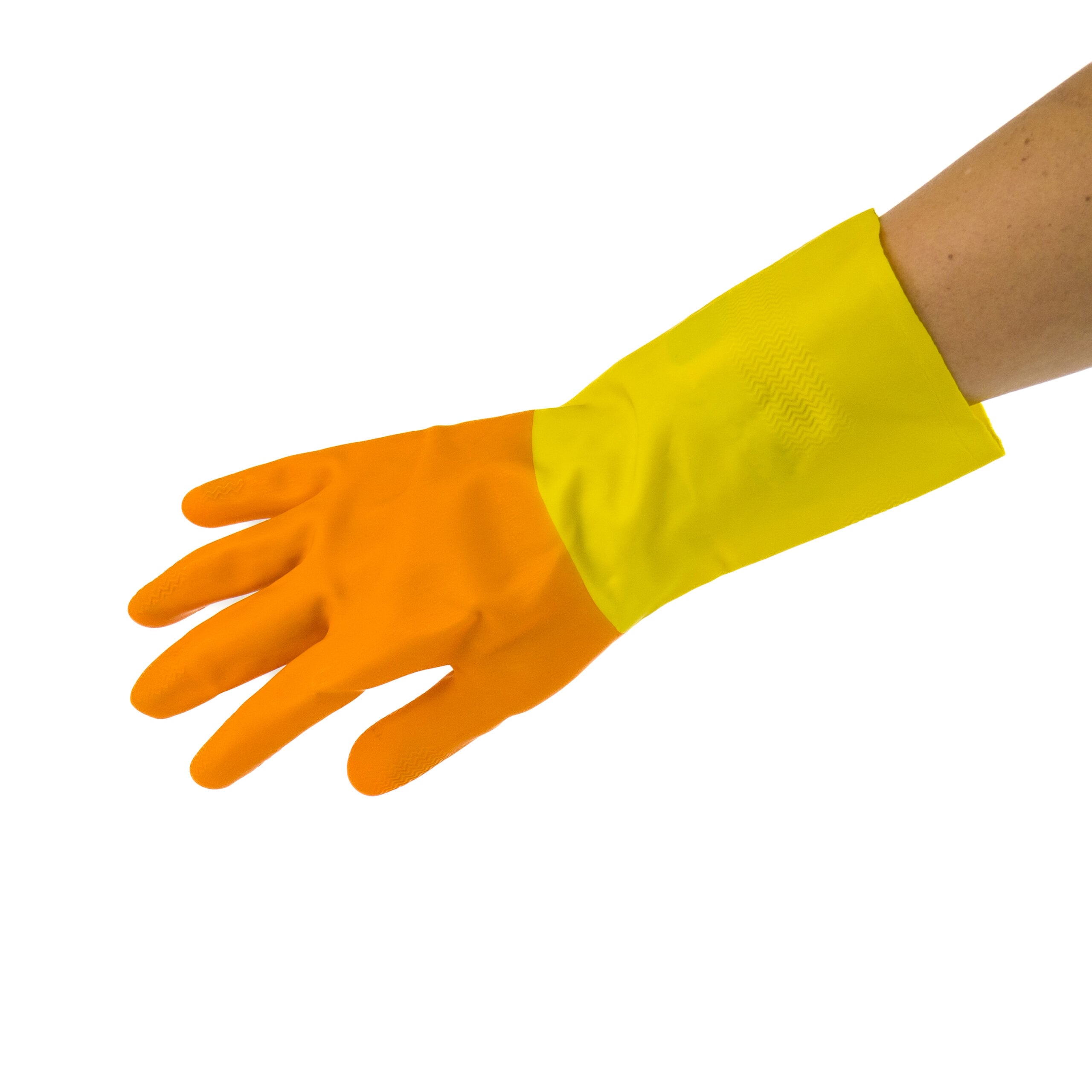 Latex Glove on Hand