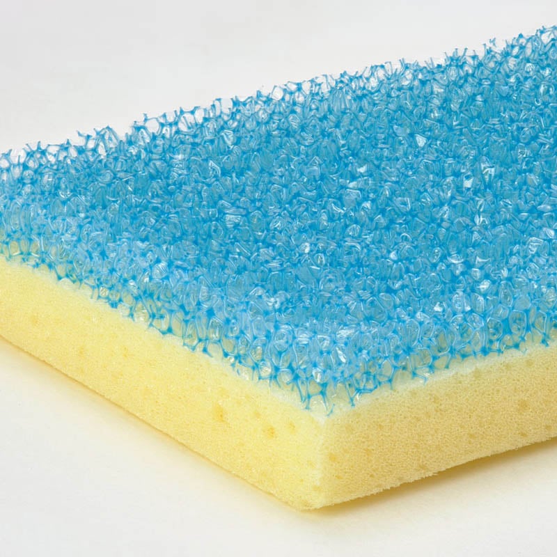 Sponge Daddy up close